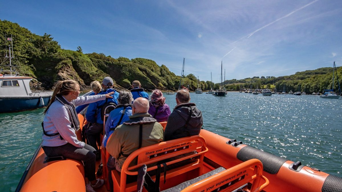 1 Hour vs 2 Hour Sea Safari: Which Ilfracombe Trip Should You Book?