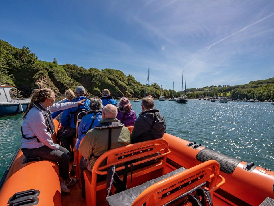1 Hour vs 2 Hour Sea Safari: Which Ilfracombe Trip Should You Book?