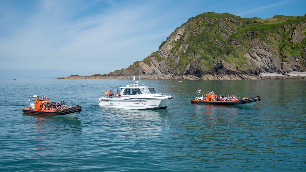 Why North Devon's Coast Is One of the UK's Best Kept Wildlife Secrets
