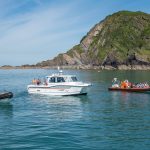 Why North Devon's Coast Is One of the UK's Best Kept Wildlife Secrets