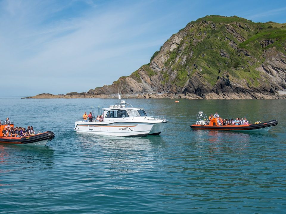 Why North Devon's Coast Is One of the UK's Best Kept Wildlife Secrets