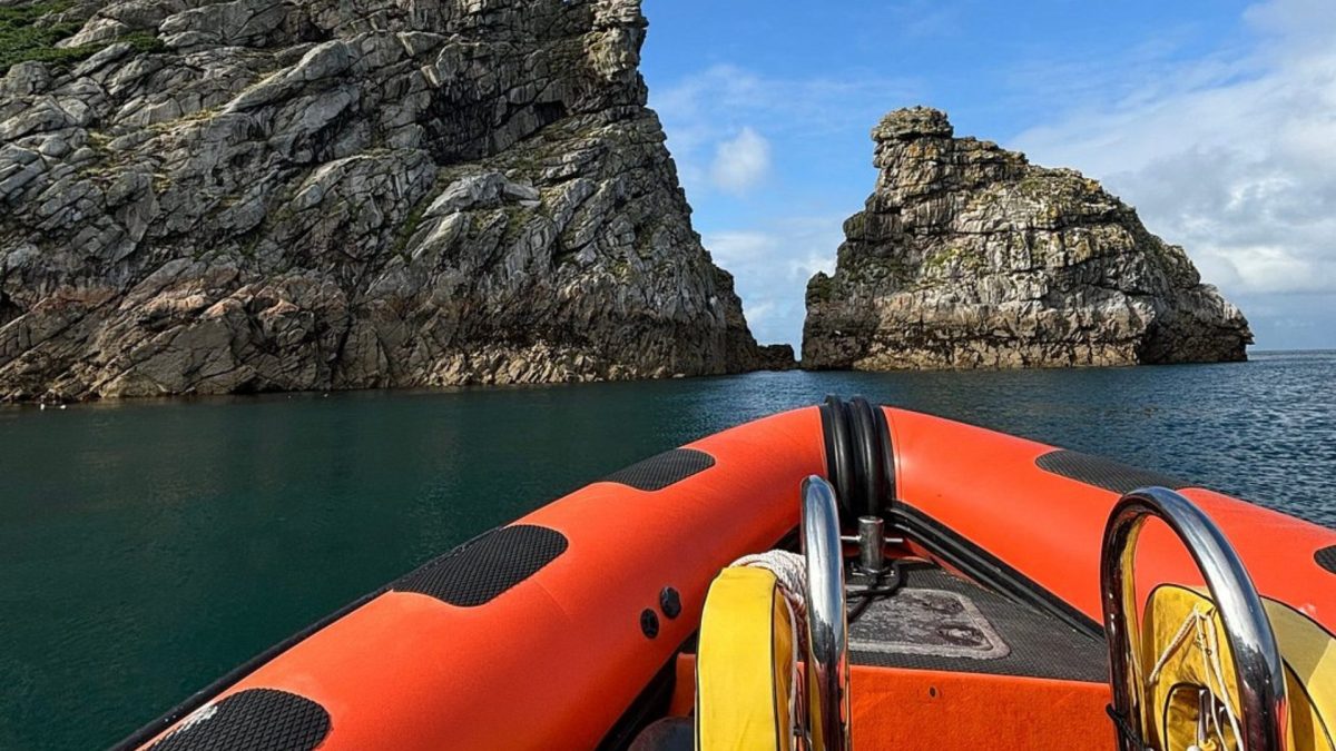 Lundy Island safari Ilfracombe Sea Safari